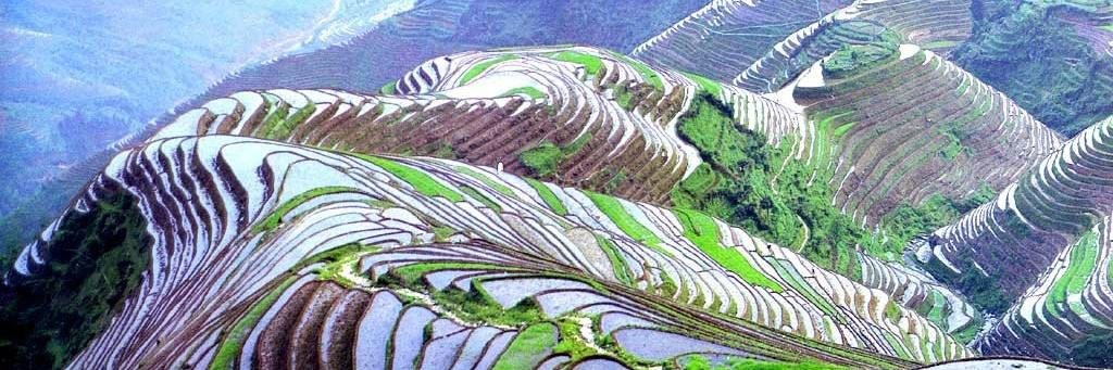 Karin Glaumann banner