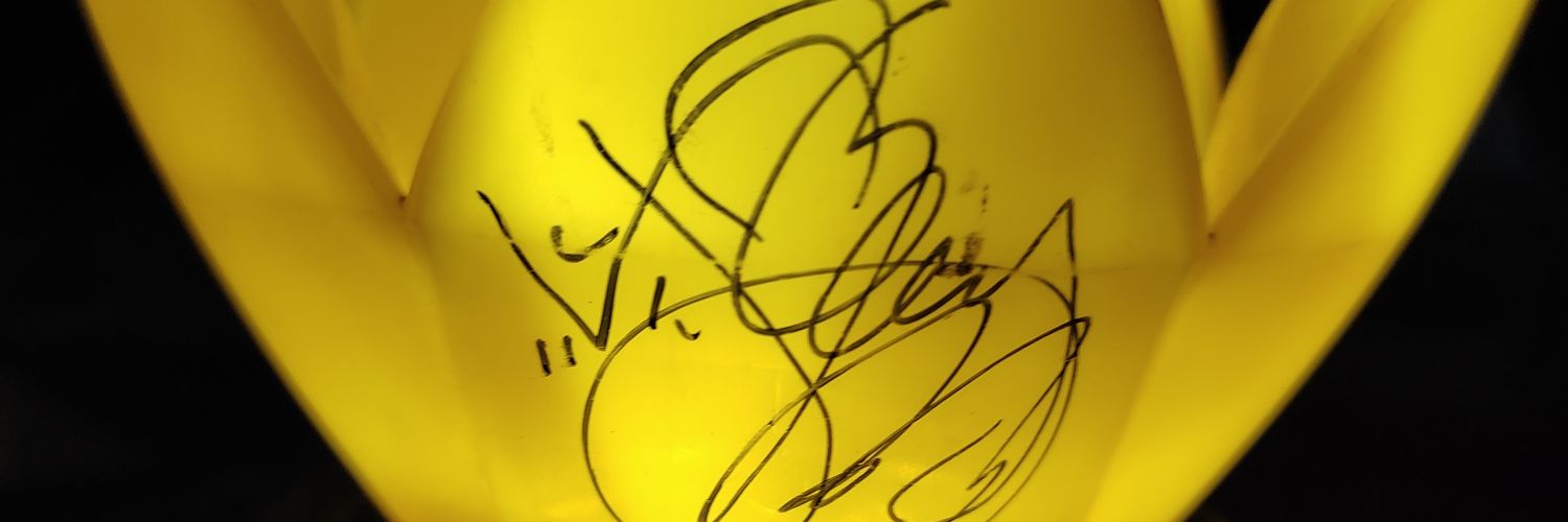 paulaseyo's profile banner image