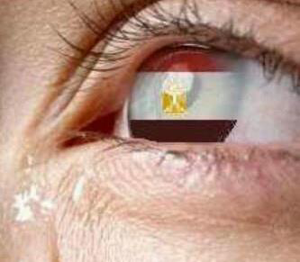 KareemElwy's profile banner image