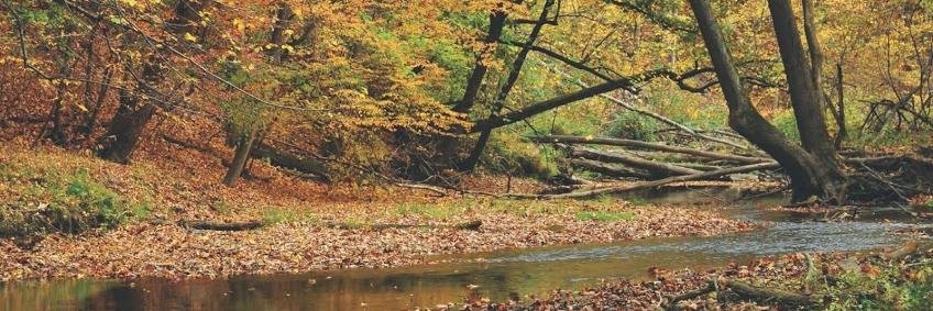 ACRESlandtrust's profile banner image