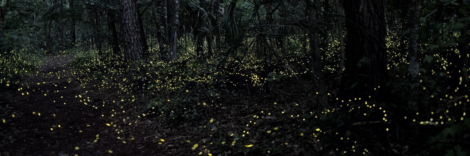 Oliver Keller Ph.D. banner