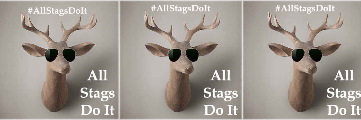 AllStagsDoIt's profile banner image