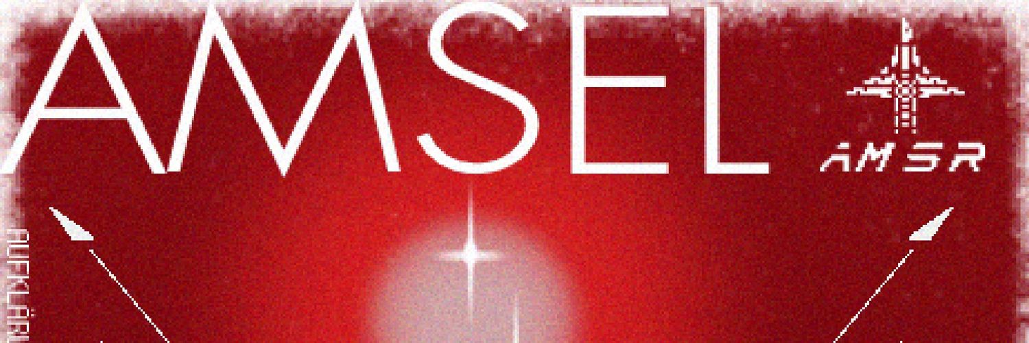 Amsel banner