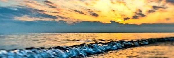 marianeffol Profile Banner