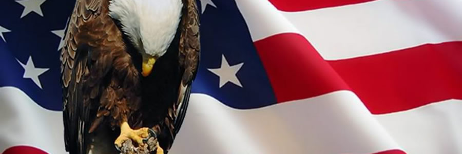 Stakeswerehigh's profile banner image
