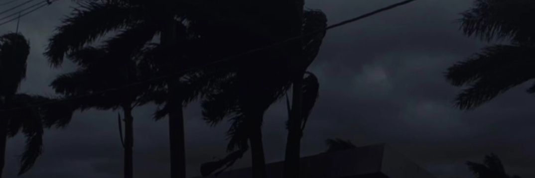 estafu banner