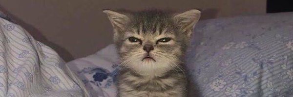 asad_ahmed04 Profile Banner