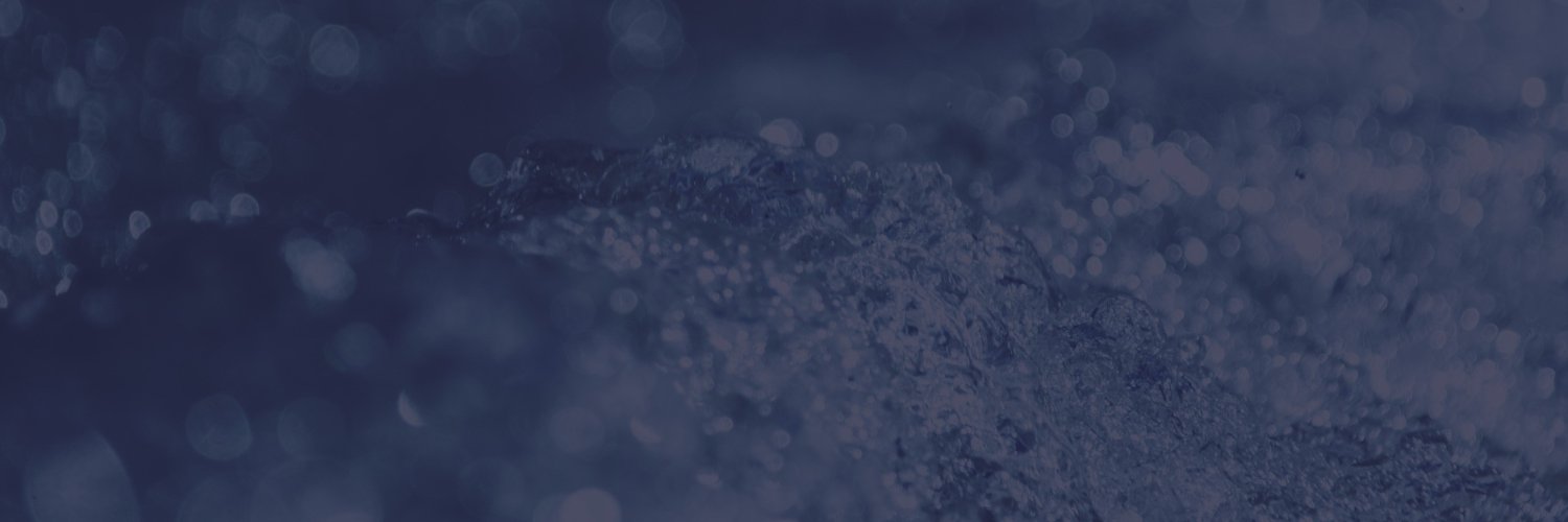 LS Instruments AG banner