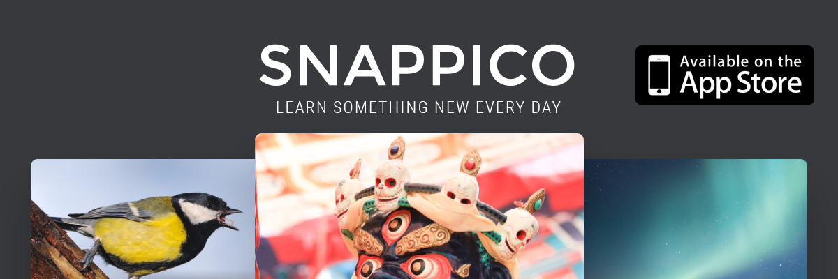 snappico's profile banner image