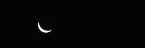 aylinipekk's profile banner image