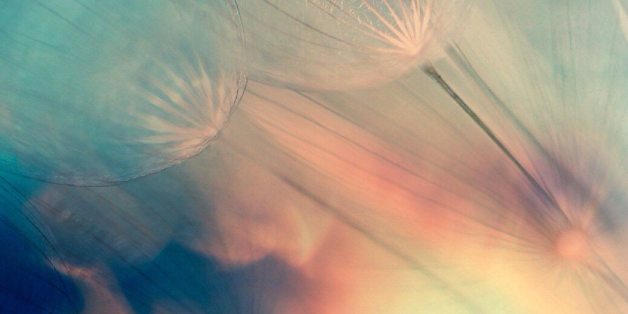 chrisolouri's profile banner image