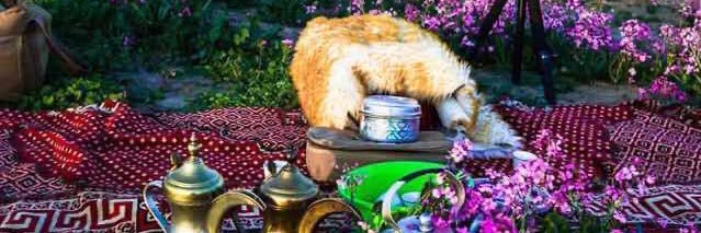 JakbatiKsa's profile banner image