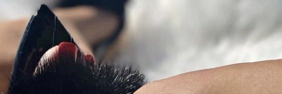 ZeMaria1000's profile banner image