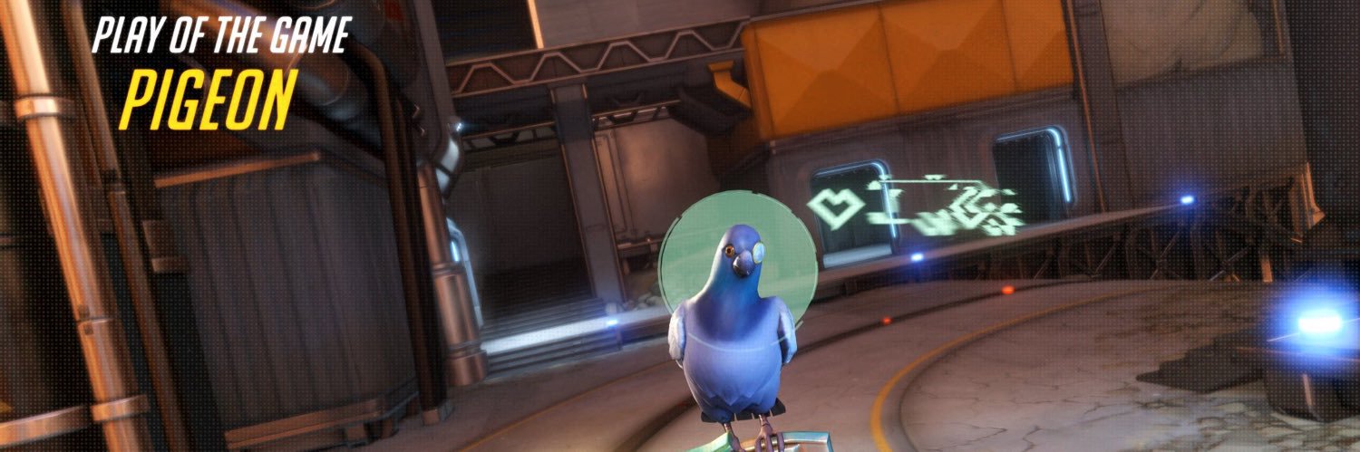 pig3on's profile banner image
