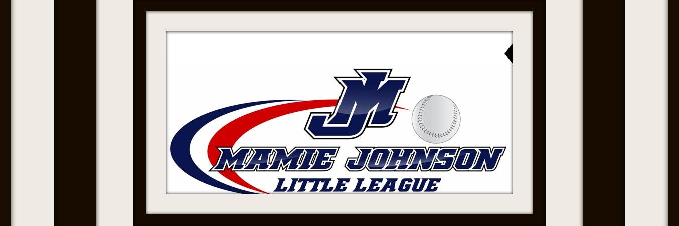 Mamie Johnson LL DC banner