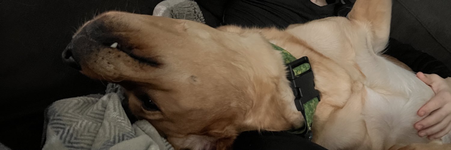 ShaeShades's profile banner image