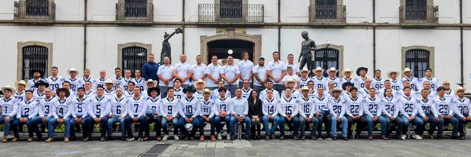 Servicios de Información Masiva (SERIMAS) banner