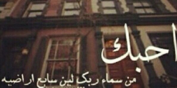 tala32S's profile banner image