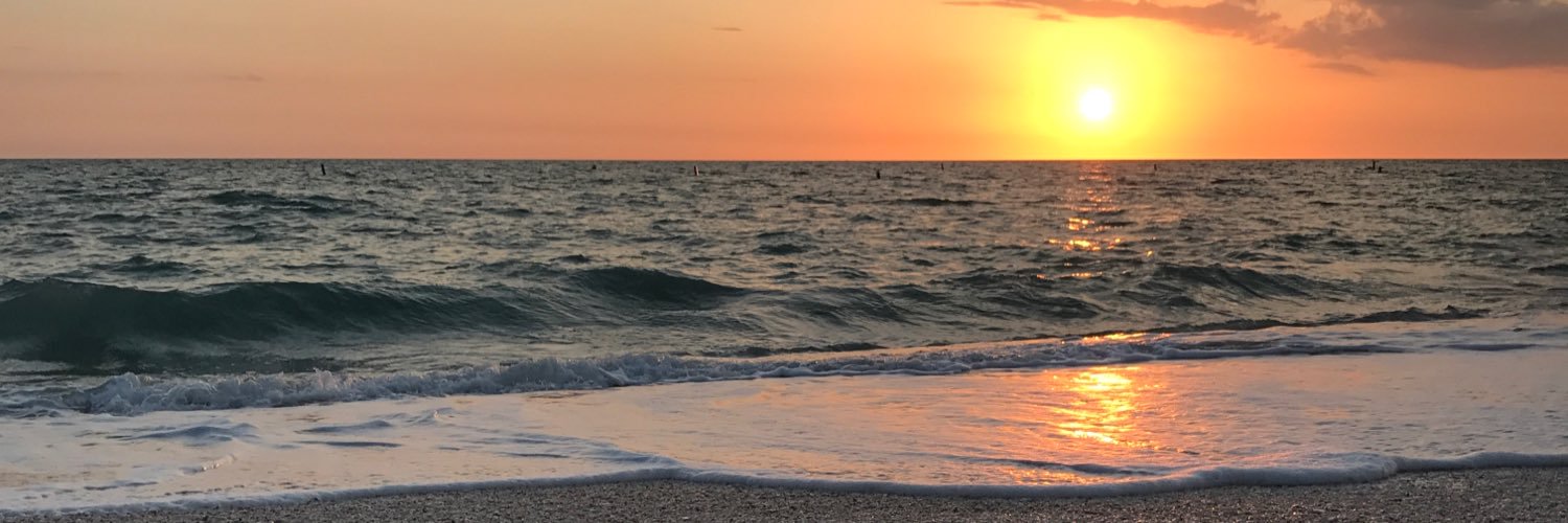 emilyymayer's profile banner image