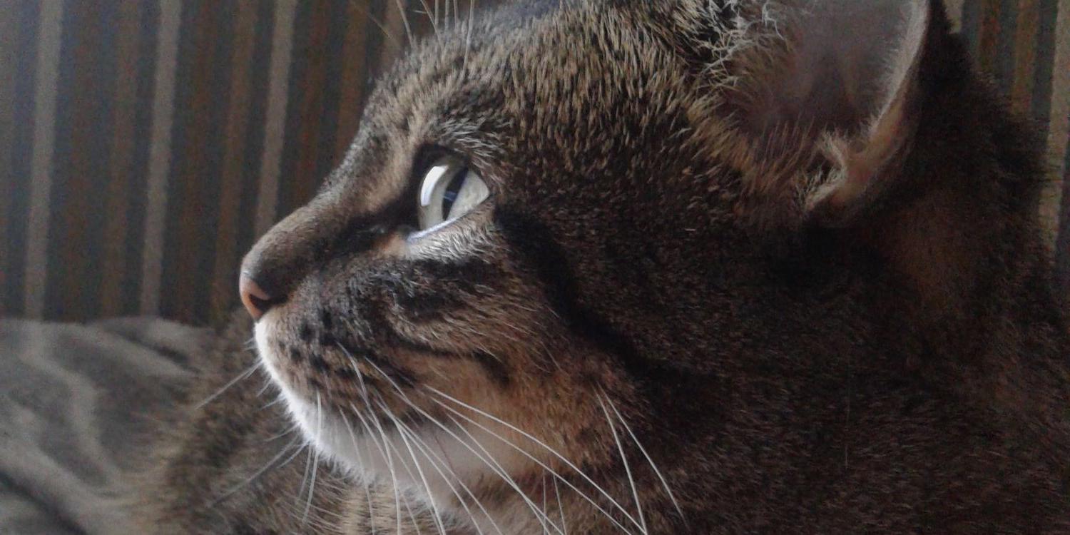 Letty_1989's profile banner image
