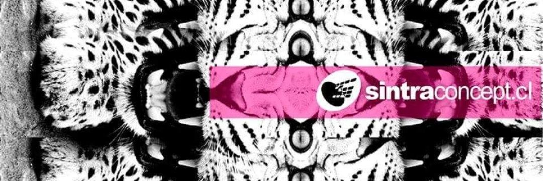 SintraConceptCL's profile banner image