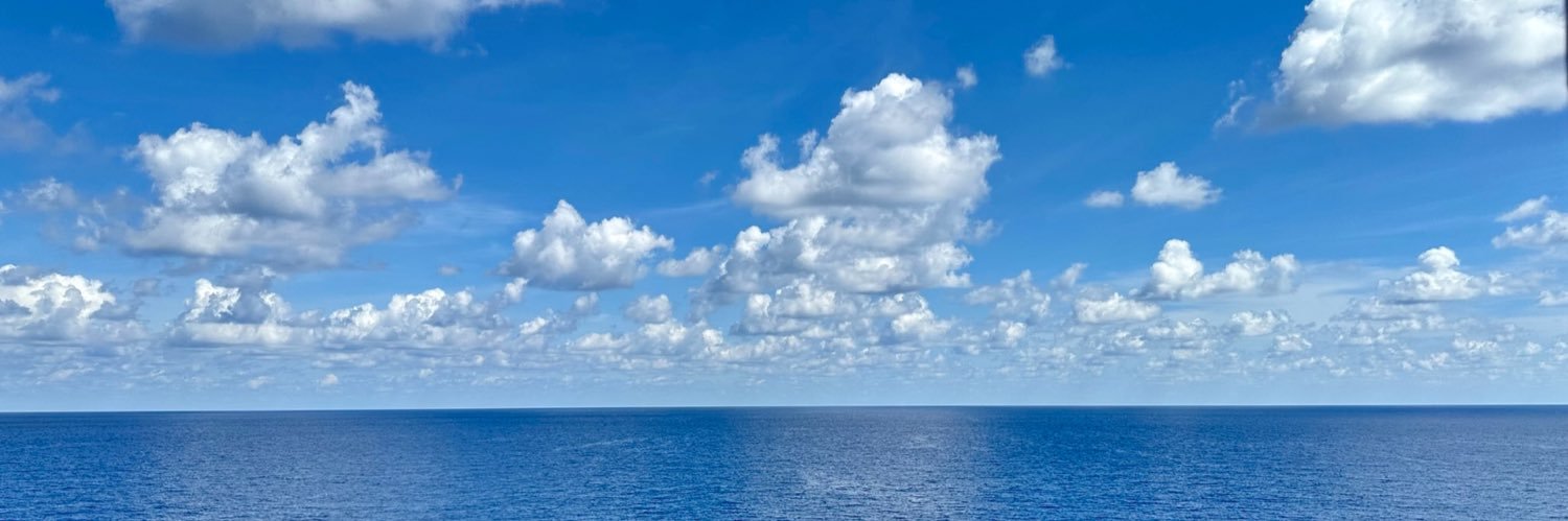 Terry with a y 🌊🇺🇸💙🌻 banner