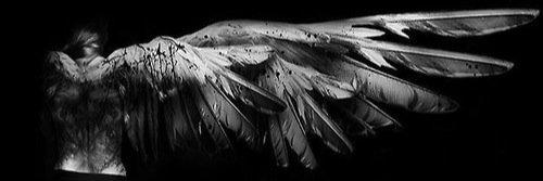 HowBoutDemWings's profile banner image