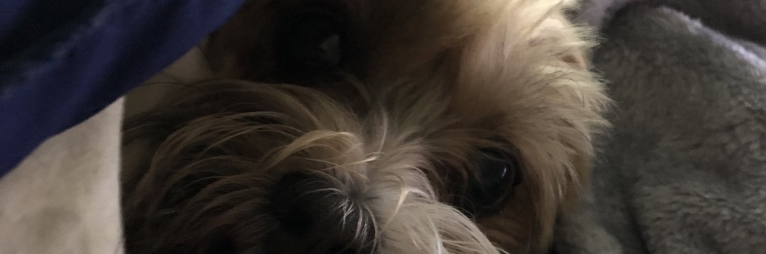 jacobleal20's profile banner image