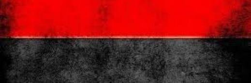Шамиль ведет отряд banner