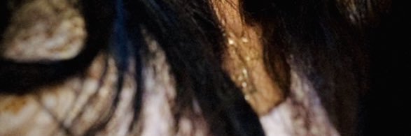 A1414ml's profile banner image