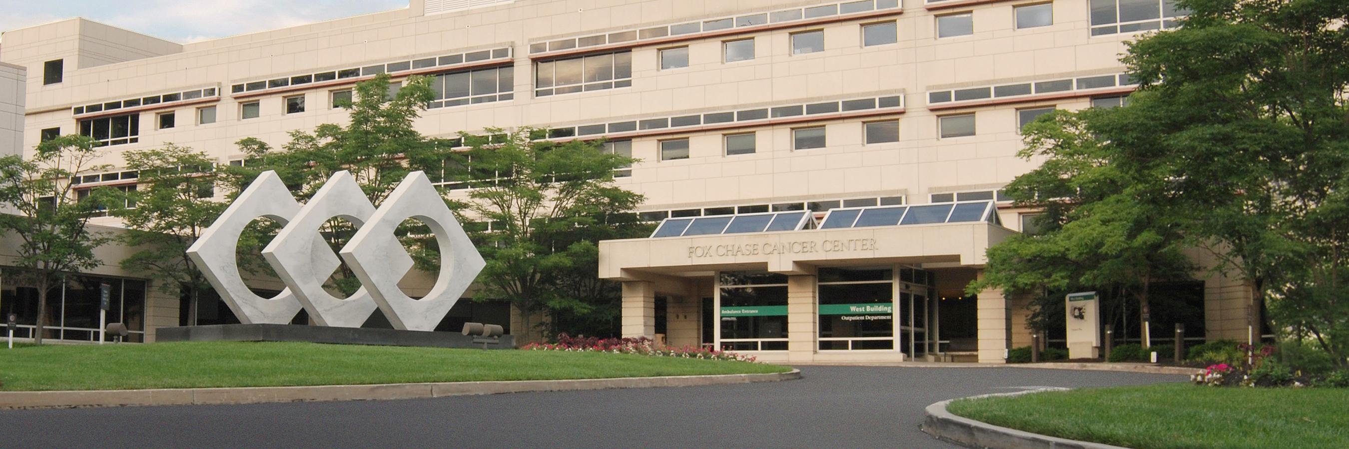 Yanis Boumber,MD,PhD banner