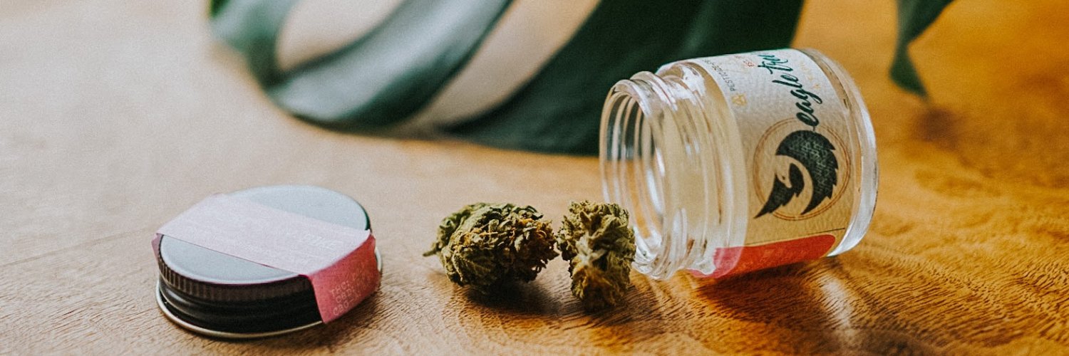 TroveCannabis's profile banner image