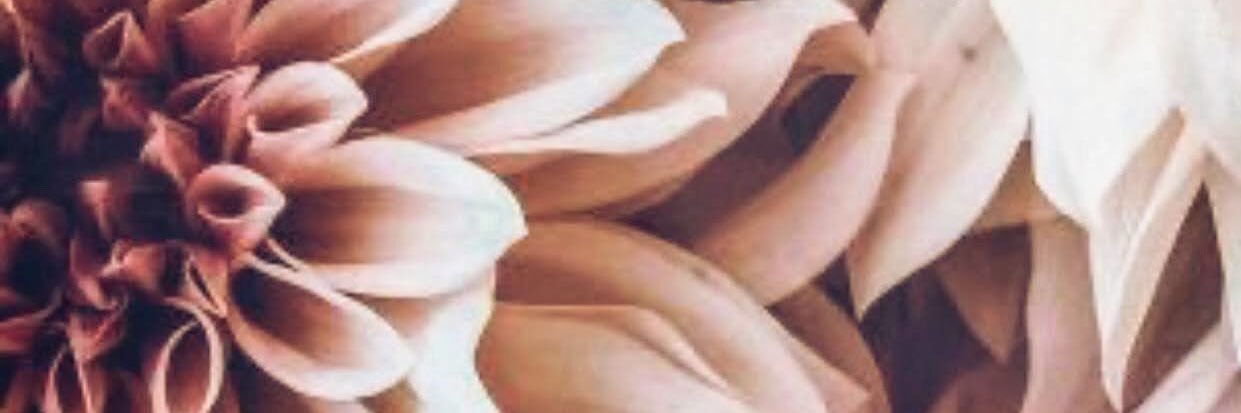 brownHHAYLI's profile banner image