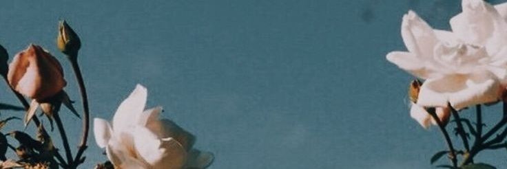 6N4Tm's profile banner image