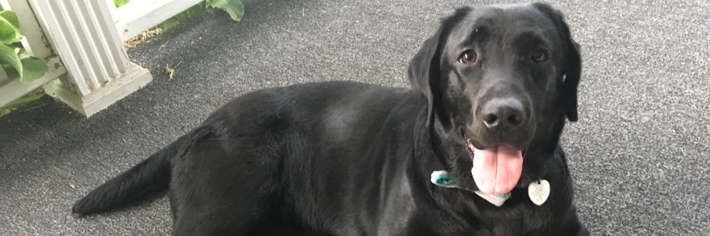 erinrf83's profile banner image