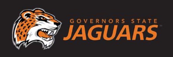 torikeilman Profile Banner