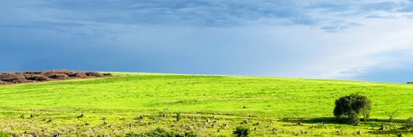 richardseiler Profile Banner