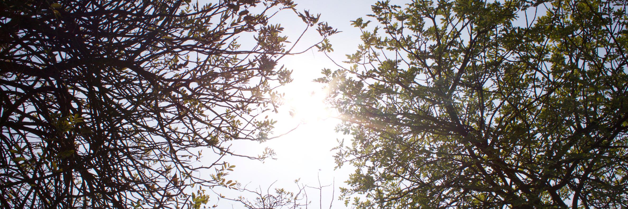 tfifocusing's profile banner image