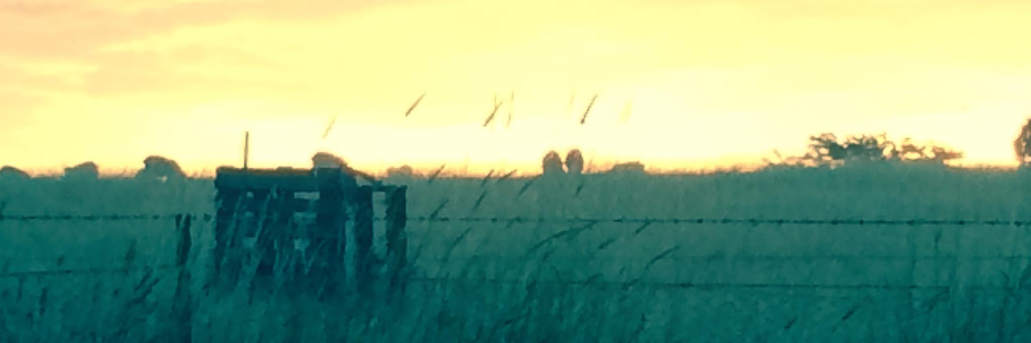 PhilCranney's profile banner image