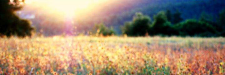 cheekyjmo's profile banner image