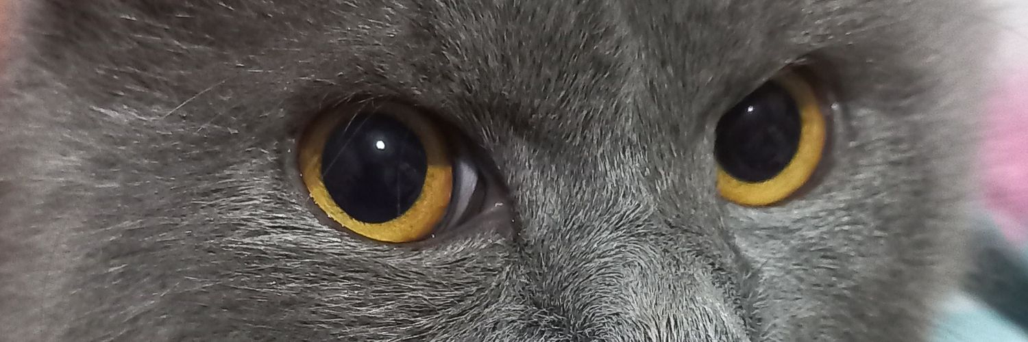 clrncgm's profile banner image