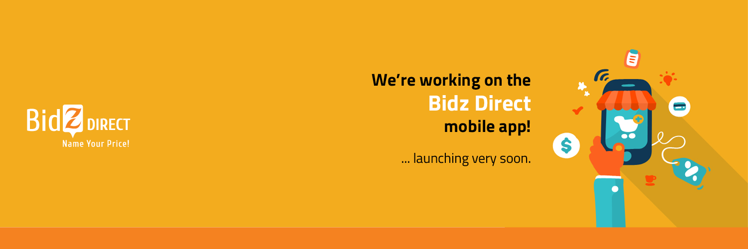 BidzDirect's profile banner image