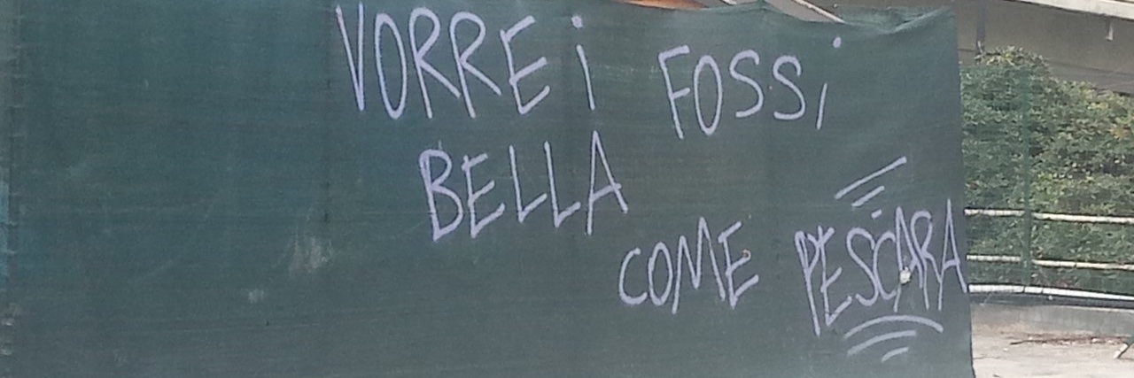 Franca Di Muzio banner