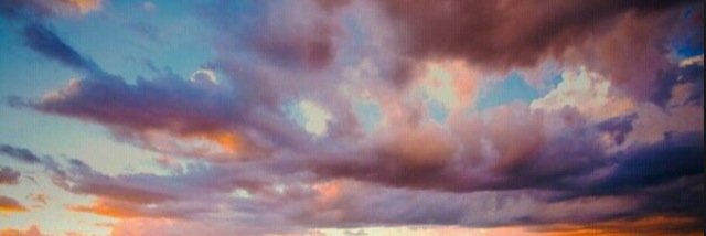 BNatalUTSA's profile banner image