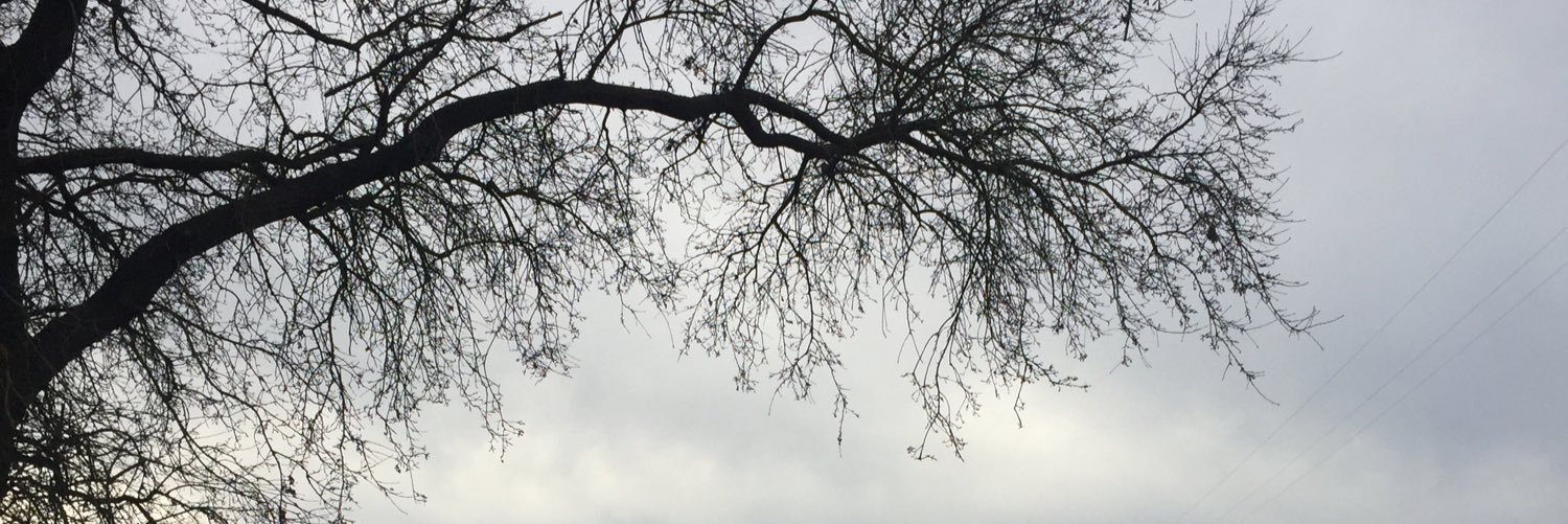 stephherrrs's profile banner image