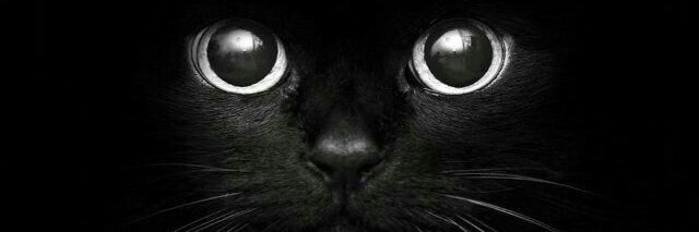 YouOnlyLiveOnce banner