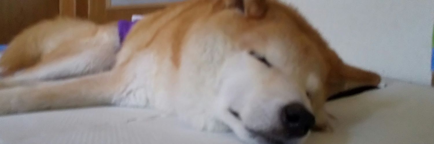 yousei_pp's profile banner image