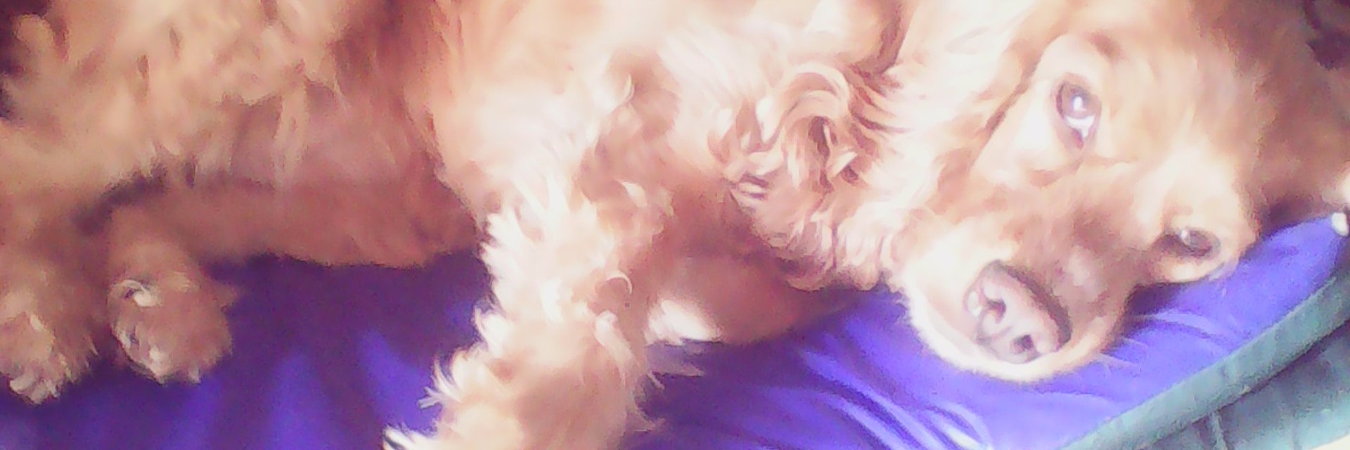 gestea857's profile banner image