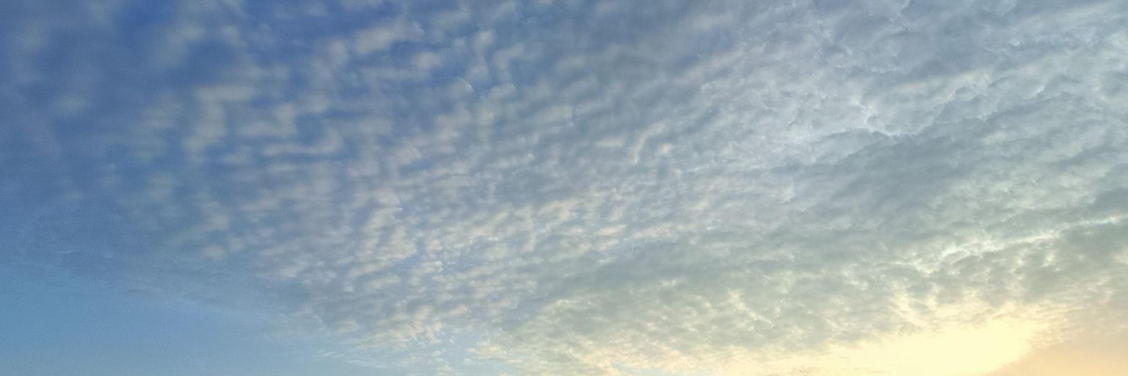 แสง แรก | sunny banner