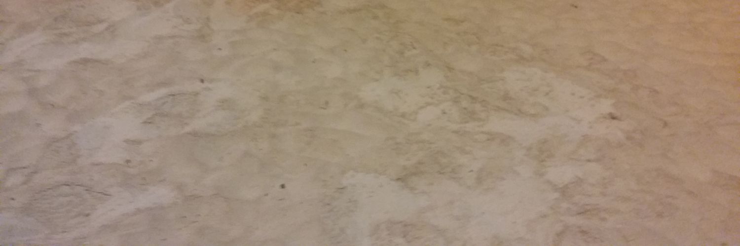 stegjack's profile banner image
